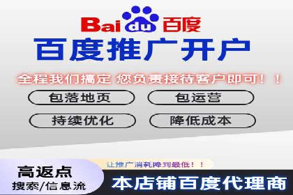 百度竞价优化技巧：实战案例深度剖析